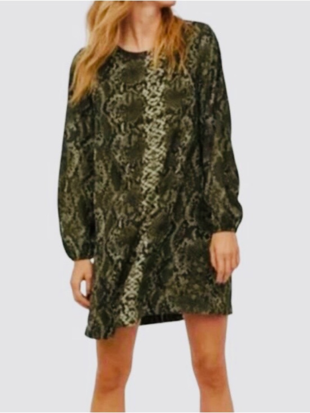 H&M, Women’s Olive Snake Print Long Sleeve Shift Dress, Size 12